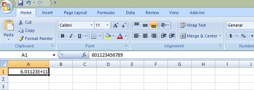 E+11 scientific notation in Excel